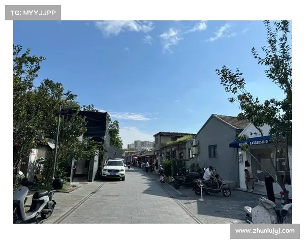 探寻胡同巷口:白塔寺前的独特风景与人文魅力(胡同里的白塔) 探寻胡同巷口:白塔寺前的独特风景与人文魅力(胡同里的白塔)