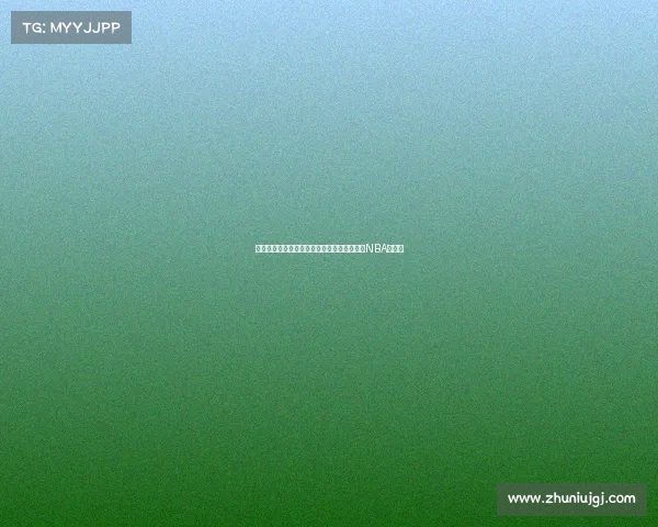 老鹰官宣：状元里萨谢加盟，法兰西之光闪耀NBA新赛季